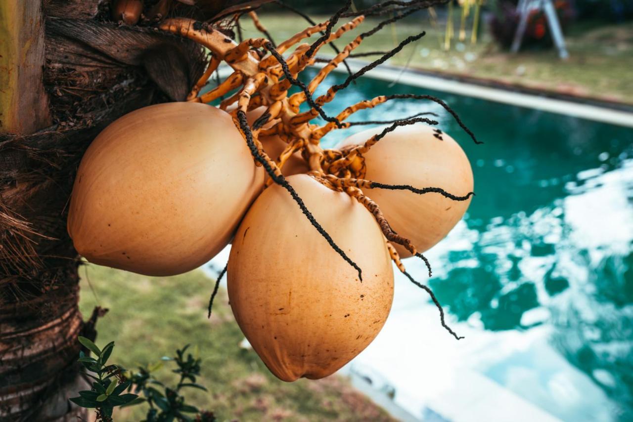 Bali Mynah Villas Resort Jimbaran Kültér fotó